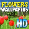 Flowers Wallpapers HD