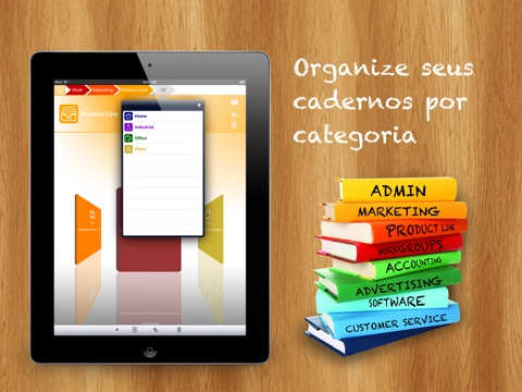 Captura de tela do iPad 5