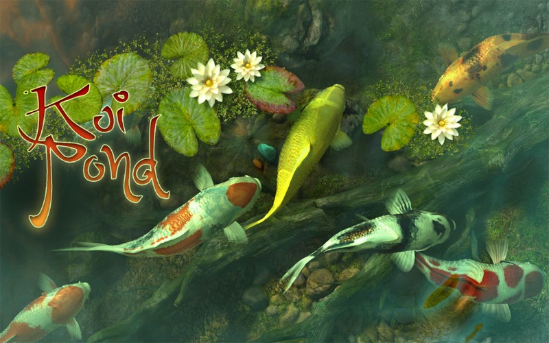Koi Pond 3D 앱스토어 스크린샷