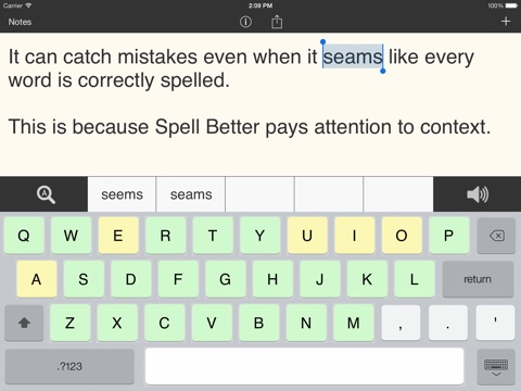 iPad Screenshot 3