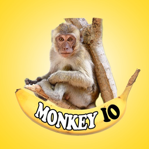 build io gfreasse monkey