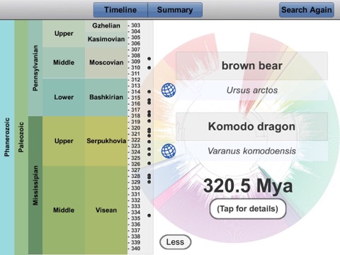 iPad Screenshot 2