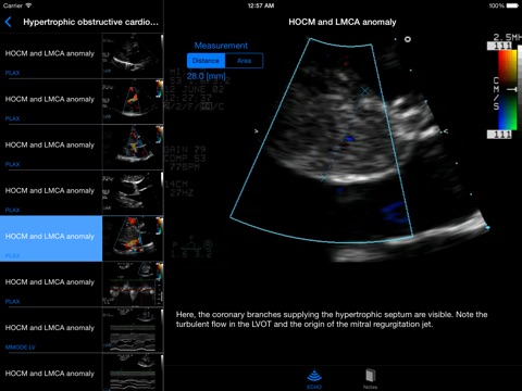 iPad Screenshot 1