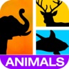 Indovina! Foto Animali (Guess It! Pic Animals) Trivia Gratis Indovinando Gioco di Parola - Decodificare la fauna selvatica nascosti e puzzle di animali da allevamento domestico quiz con la famiglia e gli amici!