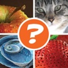 app_icon