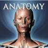 DS ANATOMY HEAD & NECK MUSCULOSKELETAL SYSTEM (AppStore Link)