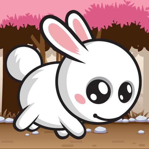 Fast Rabbit Adventures iOS App