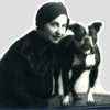 Vintage Boston Bull Terrier Stickers