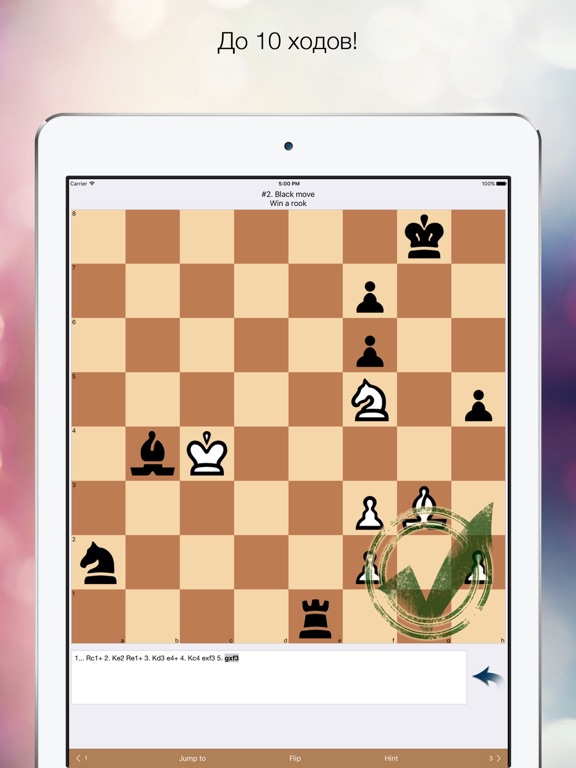 Шахматные Этюды. 2е издание на iPad