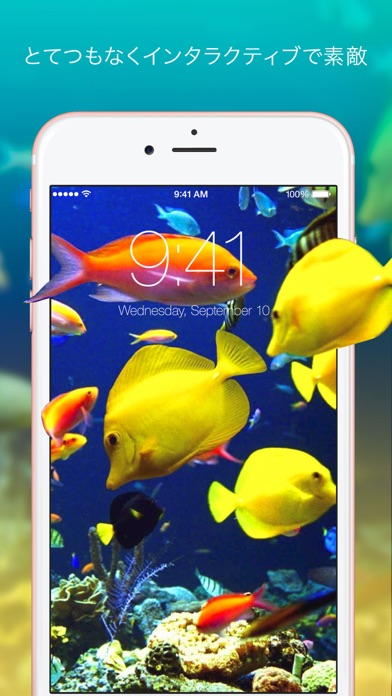 リアルな壁紙 背景写真が動くクールでダイナミックなテーマが Iphoneアプリ Applion