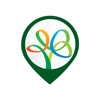 no app image