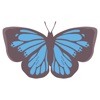 Pop e adesivo farfalla chic