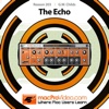 Course For Reason 6 203 - The Echo