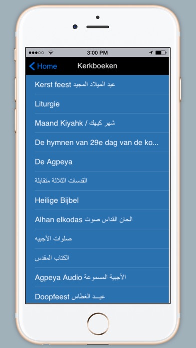 iPhone Screenshot 2