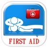 First Aid guide & emergency treatment instructions printable first aid guide 