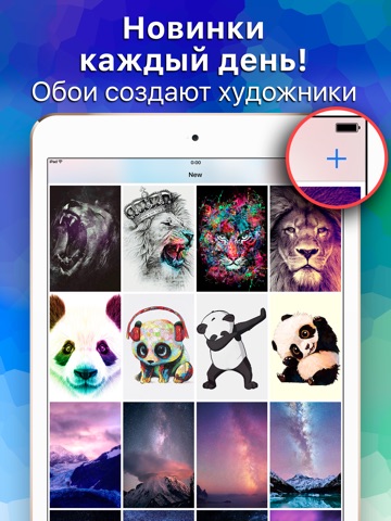 Скриншот из Top Chart of Wallpapers & Hot Backgrounds App