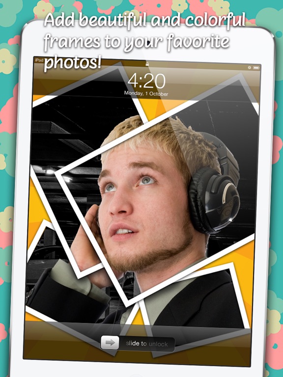 download Birds of