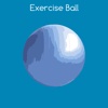 Strengthen Your Core Using an Exercise Ball ball