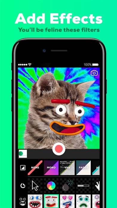 Screenshots of GIPHY Cam. The GIF Creator for iPhone