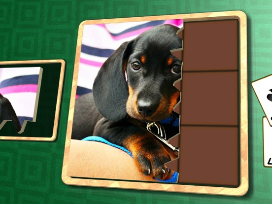 Jigsaw Solitaire Baby Animals screenshot 6