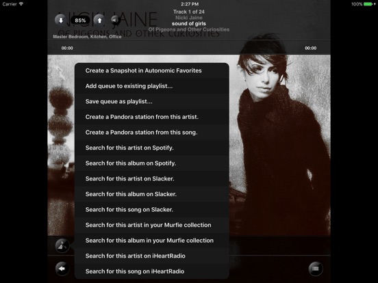 iPad Screenshot 5