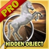 Hidden object: Mysterious traveler pro Games