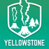 Yellowstone National Park Visitor Guide