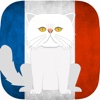 CatsAndVerbs - Learn French verbs the fun way! Education