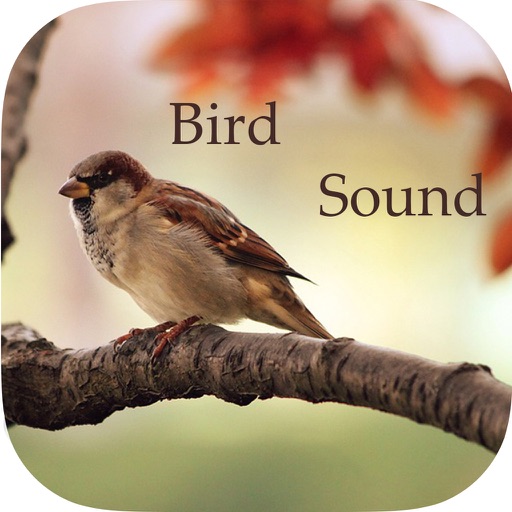 do birds sounds sleep or wake