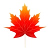 feuilles d'automne Autocollant