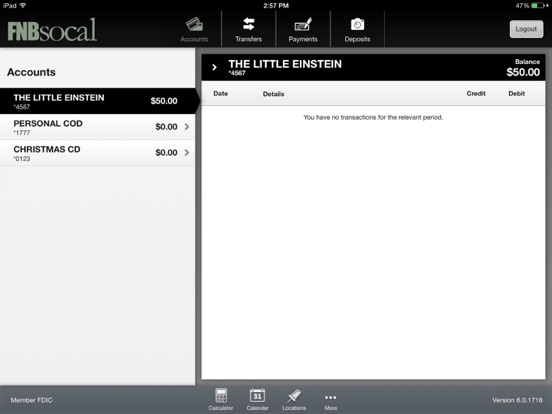 iPad Screenshot 2