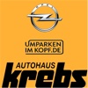 Autohaus Krebs GmbH autohaus