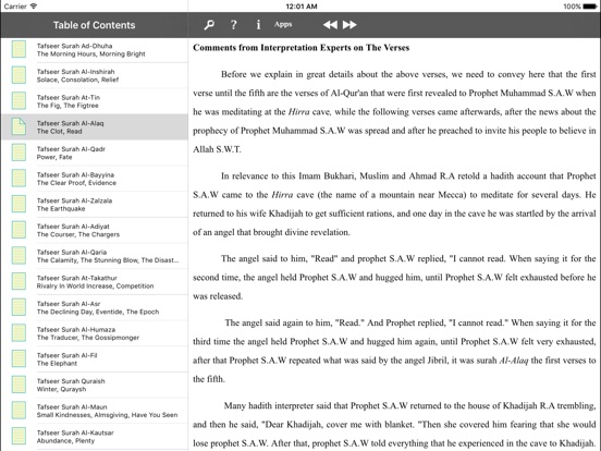 iPad Screenshot 4