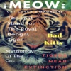 iMeow:Cat Lovers Magazine wine lovers magazine 