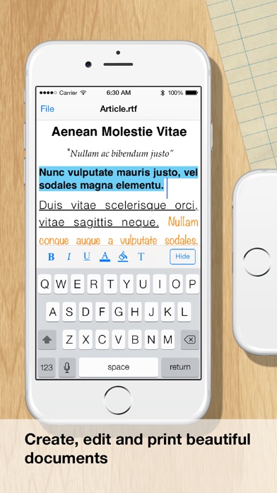 iPhone Screenshot 2