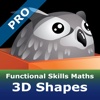 Functional Skills Maths 3D Shapes Pro gaming maths skills 