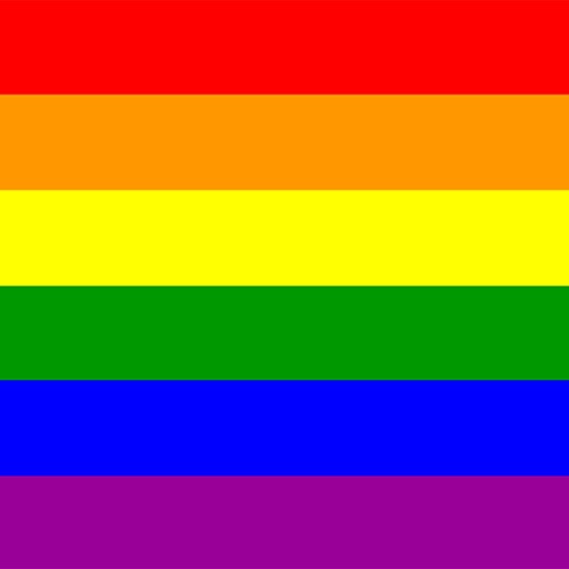 有超过55个国家的旗帜与lgbtq彩虹骄傲的扭曲.