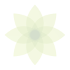 no app image