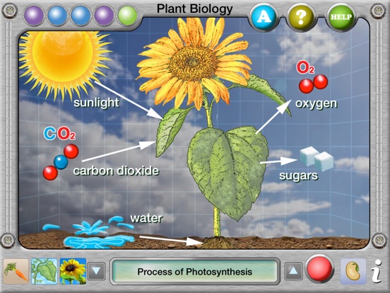 Interactive Plant Biology Explorerのおすすめ画像3
