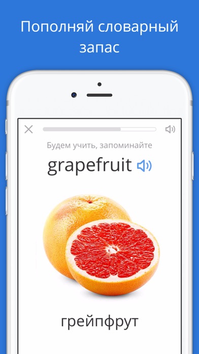 iPhone Screenshot 3