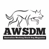 Australian Working Stock Dog Magazine australian cattle dog 