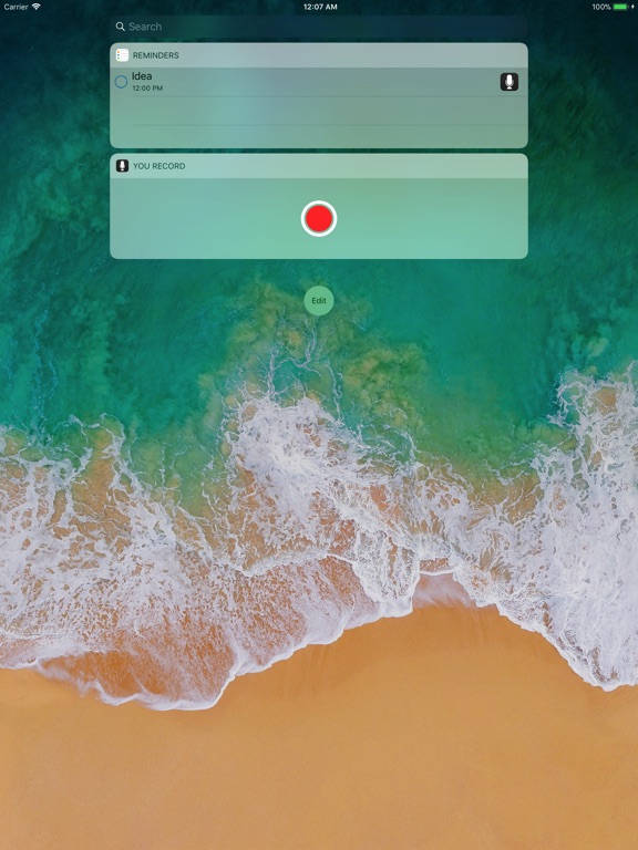 iPad Screenshot 5