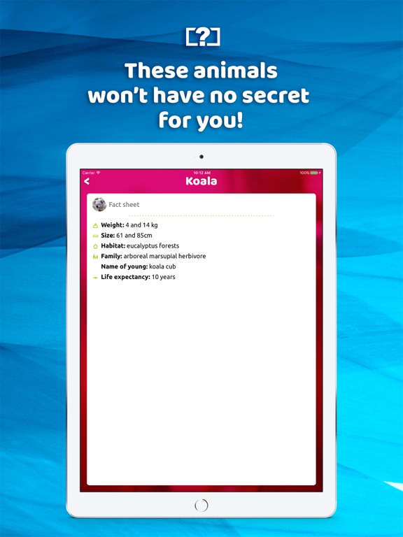 iPad Screenshot 5