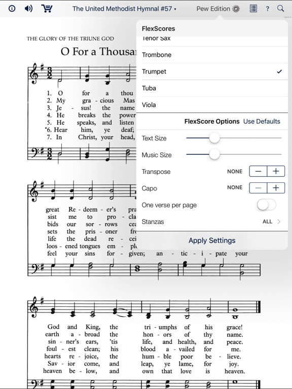 iPad Screenshot 5