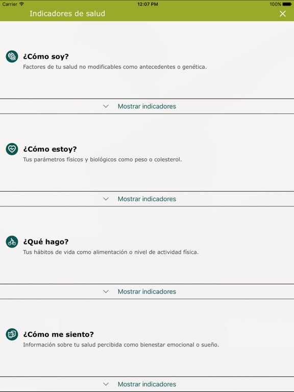 Captura de pantalla del iPad 4