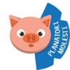 Pig's Forecast