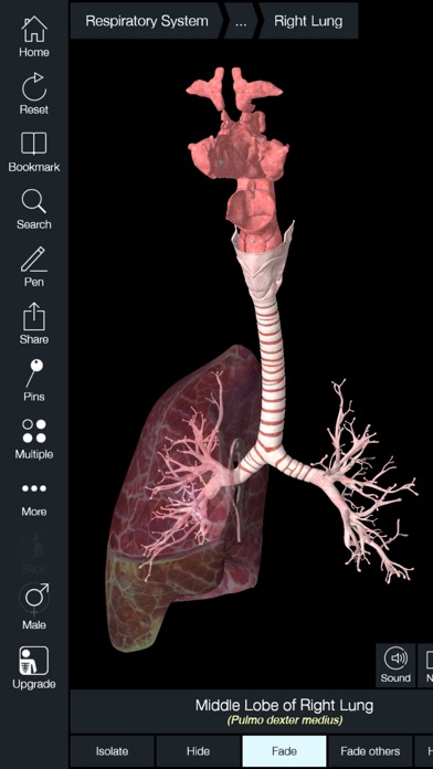 Download-Essential Anatomy (v5 v3427 Phone4 Univ os90) Locophone ICPDA rc336 ipa