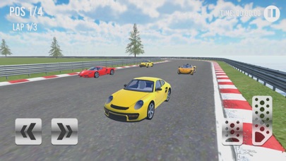 カーレーシング　カップ 3D screenshot1
