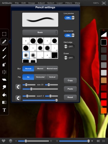 iPad Screenshot 2