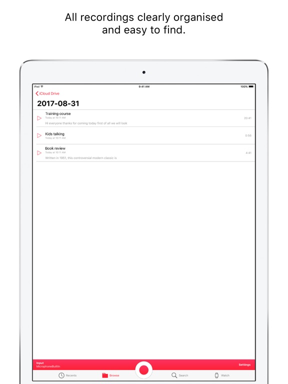 iPad Screenshot 3